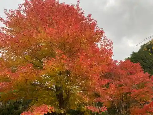 高蔵寺(兵庫県)