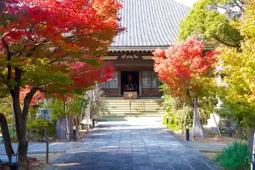 普元寺(愛知県)