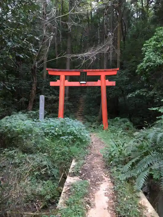 大縣神社の鳥居