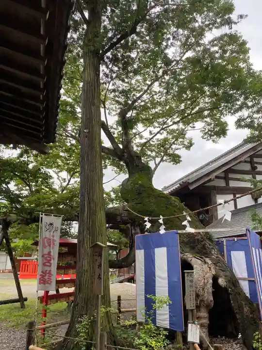 生島足島神社の自然