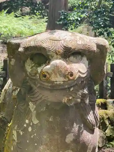 養父神社の狛犬