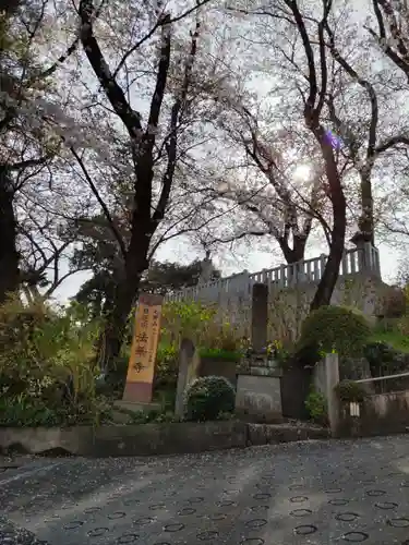 法華寺の山門