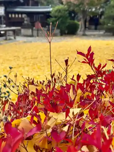 和田神社(滋賀県)