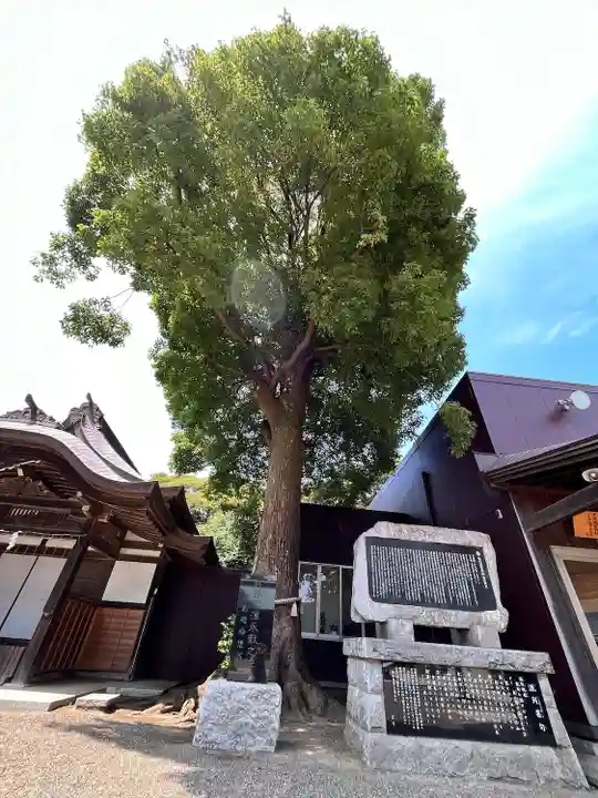 酒列磯前神社(茨城県)