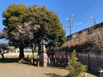 般若院(神奈川県)