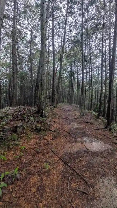 秋葉神社(京都府)