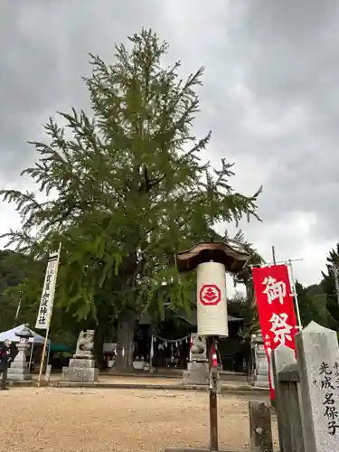 賀羅加波神社の建物その他