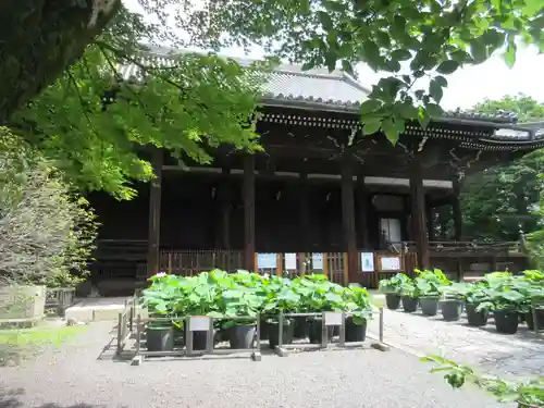 立本寺の本殿・本堂