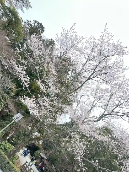 伊勢神宮内宮(皇大神宮)の{uncategorized: "未分類", other: "その他", undefined: "問題あり", building: "その他建物", grave: "お墓", sacred_gate: "鳥居", guardian: "狛犬", statue: "像", buddha: "仏像", history: "歴史", nature: "自然", garden: "庭園", animal: "動物", pagoda: "塔", temizu: "手水舎", mountain_gate: "山門・神門", sanctuary: "本殿・本堂", subordinate: "末社・摂社", art: "芸術", scenery: "景色", jizo: "地蔵", ema: "絵馬", goshuin: "御朱印", omikuji: "おみくじ", items: "授与品その他", amulet: "お守り", goshuincho: "御朱印帳", eats: "食事", festival: "お祭り", votive_dance: "神楽", shichigosan: "七五三参", wedding: "結婚式", experience: "体験その他", initially: "初詣", around: "周辺", anti_infection: "感染症対策"}