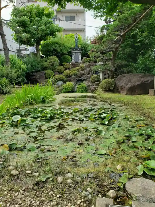 感通寺の庭園