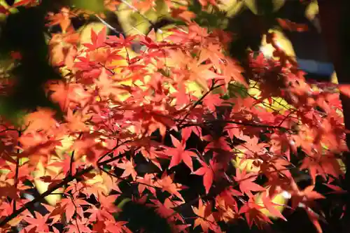 愛宕神社の庭園