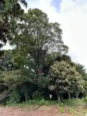 諏訪明神(神奈川県)