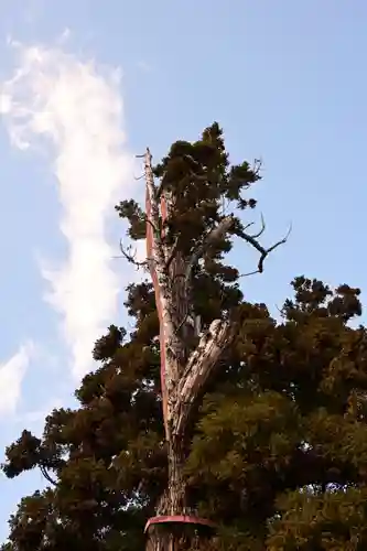 吉備津彦神社(岡山県)