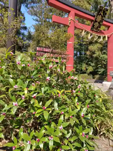 大崎八幡宮の{uncategorized: "未分類", other: "その他", undefined: "問題あり", building: "その他建物", grave: "お墓", sacred_gate: "鳥居", guardian: "狛犬", statue: "像", buddha: "仏像", history: "歴史", nature: "自然", garden: "庭園", animal: "動物", pagoda: "塔", temizu: "手水舎", mountain_gate: "山門・神門", sanctuary: "本殿・本堂", subordinate: "末社・摂社", art: "芸術", scenery: "景色", jizo: "地蔵", ema: "絵馬", goshuin: "御朱印", omikuji: "おみくじ", items: "授与品その他", amulet: "お守り", goshuincho: "御朱印帳", eats: "食事", festival: "お祭り", votive_dance: "神楽", shichigosan: "七五三参", wedding: "結婚式", experience: "体験その他", initially: "初詣", around: "周辺", anti_infection: "感染症対策"}