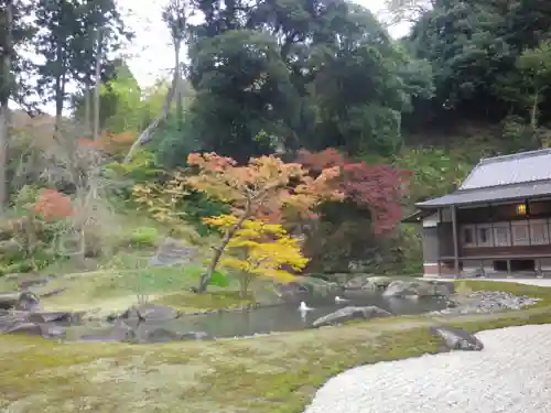 円覚寺の庭園