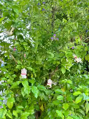 今戸神社(東京都)