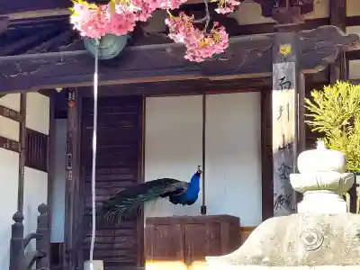 楽法寺(雨引観音)(茨城県)