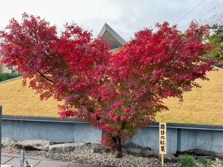 伊勢の国 四天王寺の自然