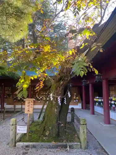 笠間稲荷神社の庭園