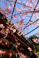 洲崎神社(千葉県)