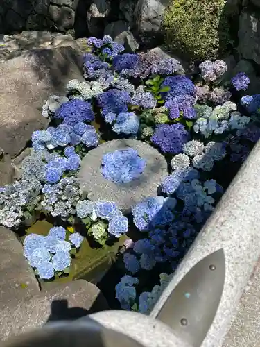 岡寺（龍蓋寺）(奈良県)