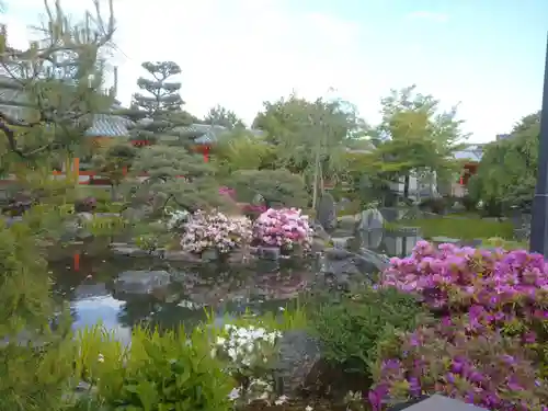 蓮華王院（三十三間堂）の庭園