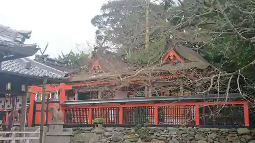 丹生官省符神社の本殿・本堂
