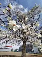 厚別神社(北海道)