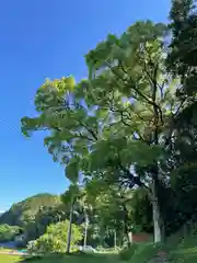 大野神社(山口県)