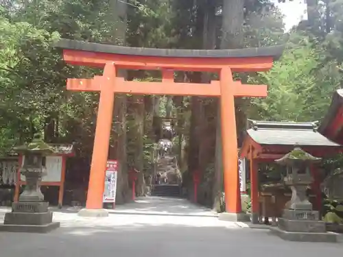 箱根神社の鳥居