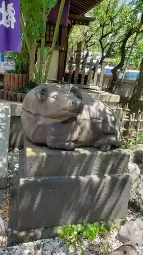牛天神北野神社の狛犬