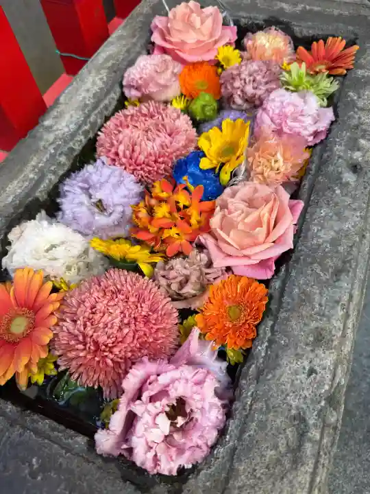 桃園稲荷の{uncategorized: "未分類", other: "その他", undefined: "問題あり", building: "その他建物", grave: "お墓", sacred_gate: "鳥居", guardian: "狛犬", statue: "像", buddha: "仏像", history: "歴史", nature: "自然", garden: "庭園", animal: "動物", pagoda: "塔", temizu: "手水舎", mountain_gate: "山門・神門", sanctuary: "本殿・本堂", subordinate: "末社・摂社", art: "芸術", scenery: "景色", jizo: "地蔵", ema: "絵馬", goshuin: "御朱印", omikuji: "おみくじ", items: "授与品その他", amulet: "お守り", goshuincho: "御朱印帳", eats: "食事", festival: "お祭り", votive_dance: "神楽", shichigosan: "七五三参", wedding: "結婚式", experience: "体験その他", initially: "初詣", around: "周辺", anti_infection: "感染症対策"}