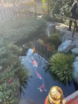 蛇窪神社(東京都)