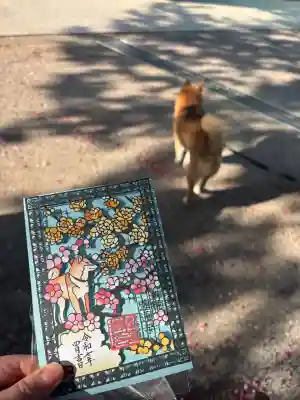 感通寺の{uncategorized: "未分類", other: "その他", undefined: "問題あり", building: "その他建物", grave: "お墓", sacred_gate: "鳥居", guardian: "狛犬", statue: "像", buddha: "仏像", history: "歴史", nature: "自然", garden: "庭園", animal: "動物", pagoda: "塔", temizu: "手水舎", mountain_gate: "山門・神門", sanctuary: "本殿・本堂", subordinate: "末社・摂社", art: "芸術", scenery: "景色", jizo: "地蔵", ema: "絵馬", goshuin: "御朱印", omikuji: "おみくじ", items: "授与品その他", amulet: "お守り", goshuincho: "御朱印帳", eats: "食事", festival: "お祭り", votive_dance: "神楽", shichigosan: "七五三参", wedding: "結婚式", experience: "体験その他", initially: "初詣", around: "周辺", anti_infection: "感染症対策"}