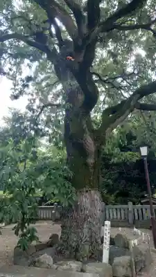 伊勝八幡宮(愛知県)