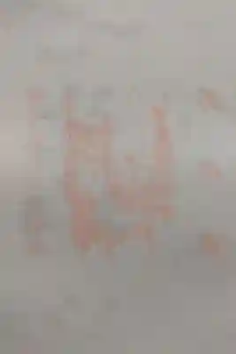 2021年に再興し綺麗になっておりました