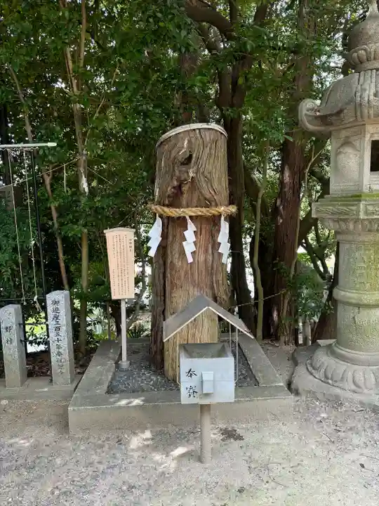 白山神社(二子町)の自然