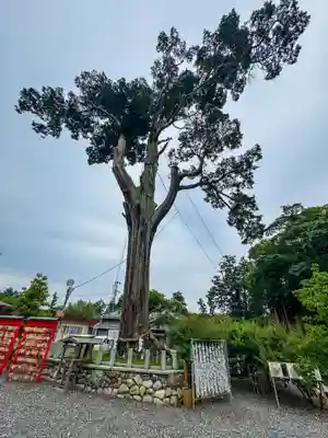 矢奈比賣神社（見付天神）(静岡県)