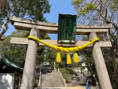 多井畑厄除八幡宮(兵庫県)