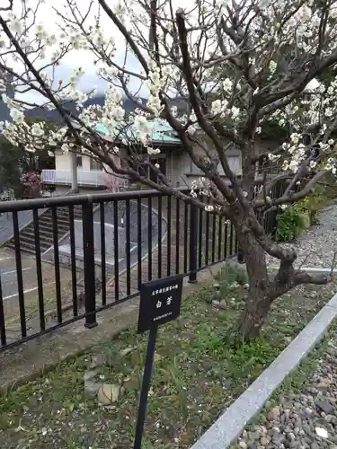 岡田神社(福岡県)