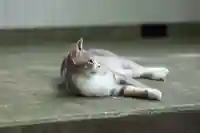 玉野御嶽神社(愛知県)