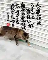 専念寺(大阪府)