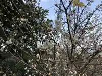 鷲尾愛宕神社の自然