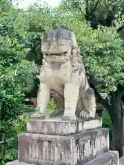 住吉大社(大阪府)