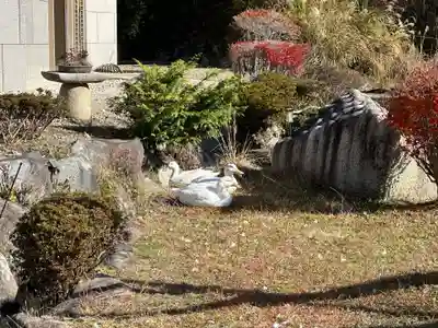 嶽之下宮(静岡県)