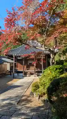 善峯寺(京都府)