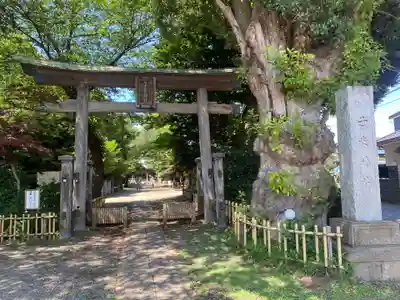 畑子安神社(千葉県)
