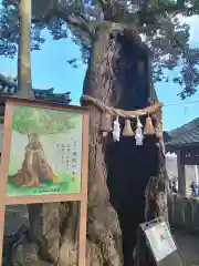 八幡竃門神社(大分県)