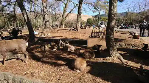 東大寺(奈良県)