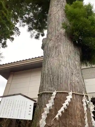 富士山東口本宮 冨士浅間神社の建物その他